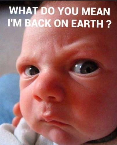 BE1F336A-FEF6-4CE9-9839-B6503F18A782