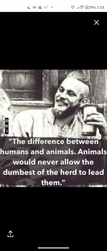 68F72911-7D94-48FF-B9FF-29B805781357