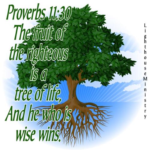 253A8D59-BEF2-444E-BD38-C1231D461C81