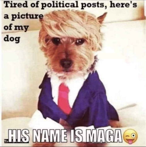 052cc0b4-01da-4d82-9f61-0619ce99767f