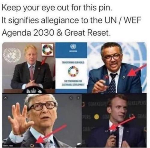 great reset pin