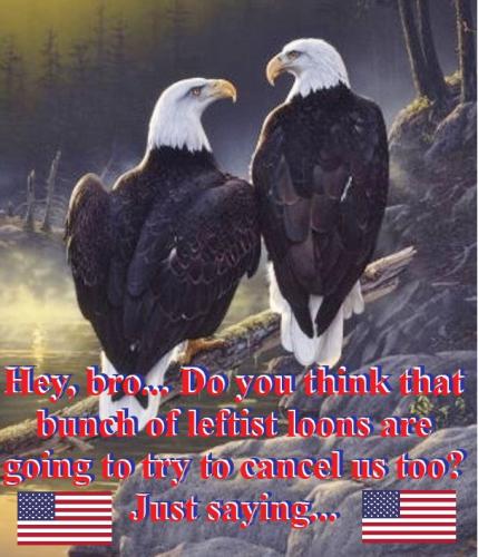 ae5f09f35a0c4e6bf8f7a269978476cb3e24798b6a79db85333de6272f9e4bc2_1