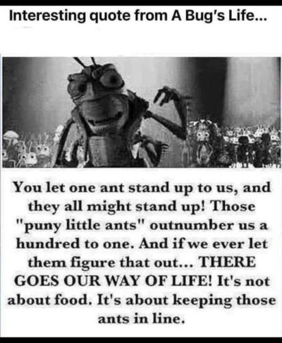 from a bugs life