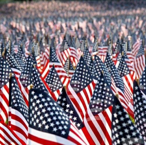 458BAACD-4603-4574-A719-CCC55268F313