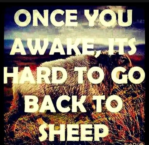 photo_2021-10-24_17-59-39