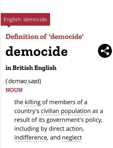 image_1634730347.656