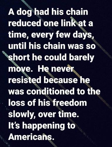 Conditioned Americans