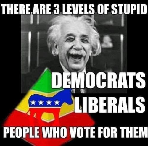 248804402_937913363812208_2061707835749309244_n