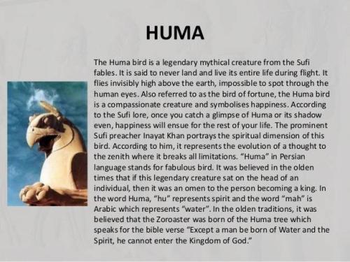 IMG_20211011_121717_745