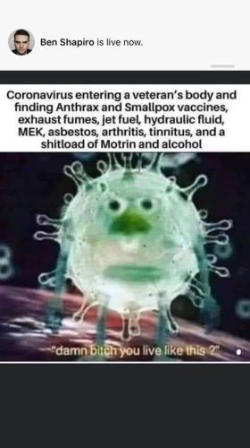 corona virus in veterans body