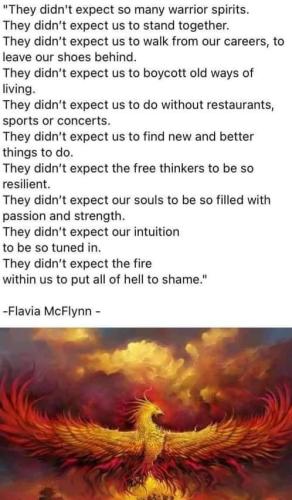 uXG5PpQ4JyBUvB6BYR5B_13_3abe4e41a7a7df992e541771cc0306ba_image_original