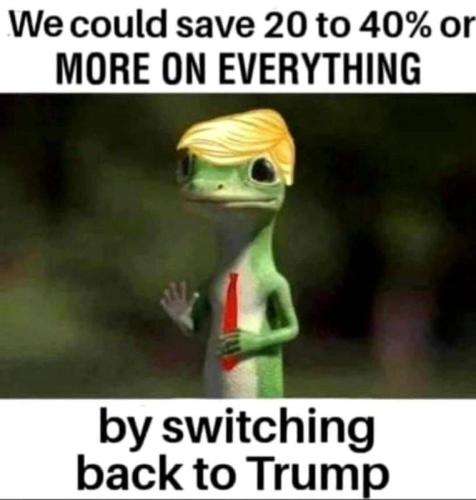we could have saved