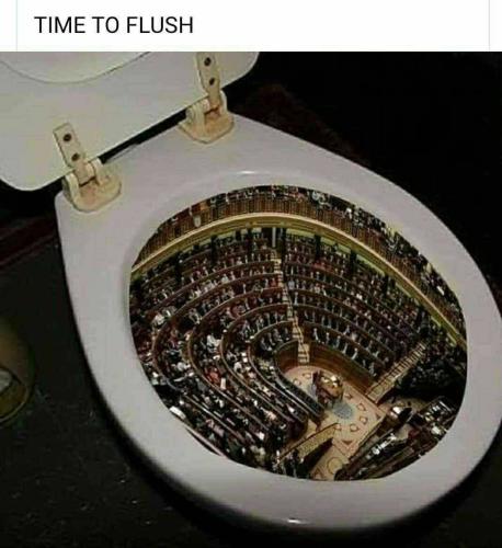 image_1635268485.534