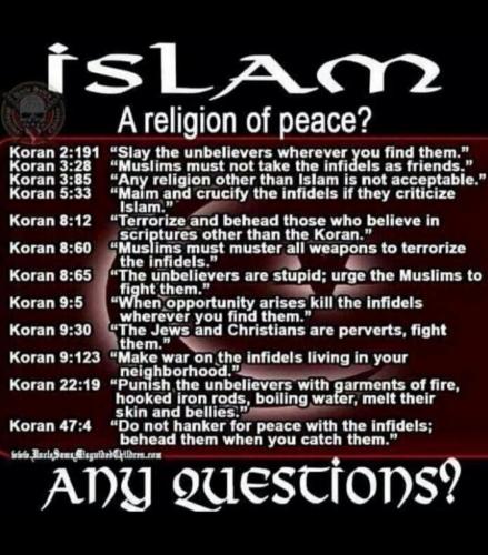 image_1634856508.159