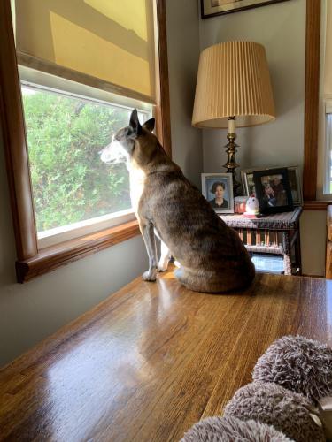 FC0E8B75-25B7-4F5A-A468-FEDA7DDD49B7