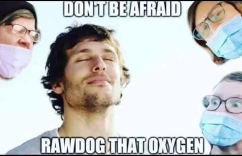 rawdog
