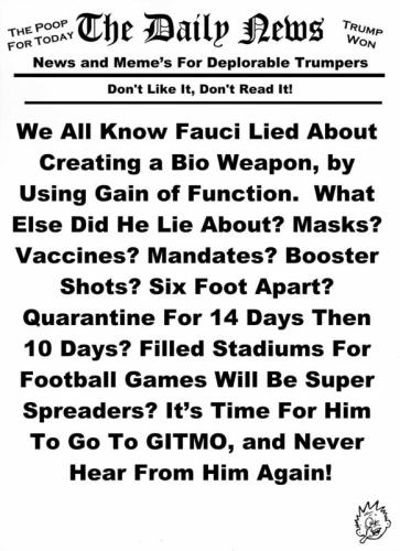 the daily news