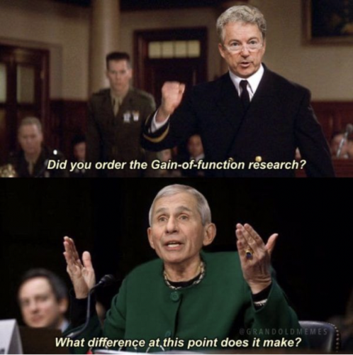 bc05e4b39a174d13cde07379713d9003