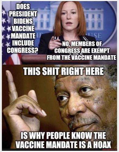 Meds242