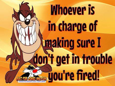 10924747_917812028238585_7659582012323159044_n