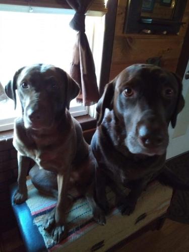 received_522201625210327