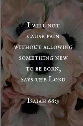 A6DBC951-F75B-4815-A69F-49A35F969248