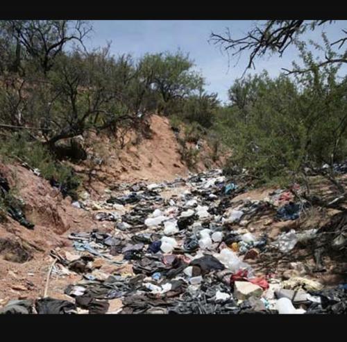 C5BB0B45-6A68-43D3-A4DC-520A289E8C2E