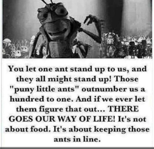 photo_2021-10-20_19-10-40