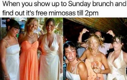 Free Mimosas