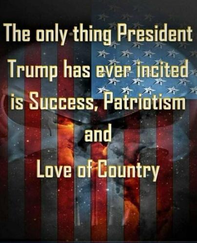 THE ONLY THING TRUMP EVER INCITED