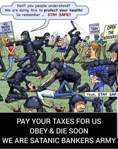 6a2b864bec1b5987550bd33e2b28c591_500x0