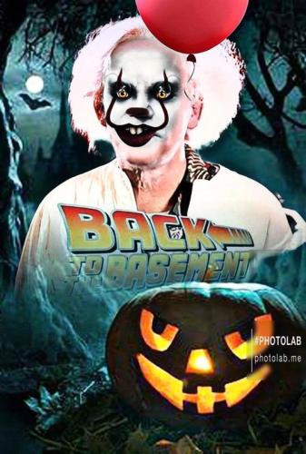 back to the basement