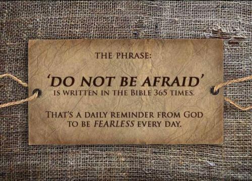 1ca78d90a0f064cb18b1d9fb36b1b5e8