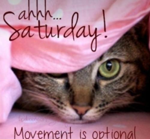 Screenshot_20211001-185252_Photos