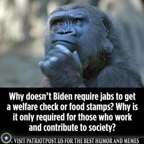 why not jabs for welfare