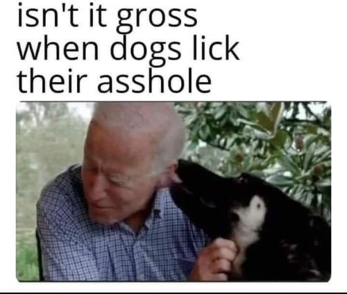 249813548_4529312793771541_7275678524723064494_n