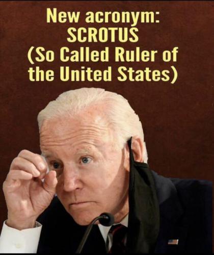 scrotus