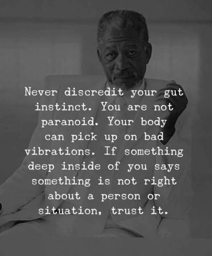 244350050_1275375286233465_3654218741612593653_n