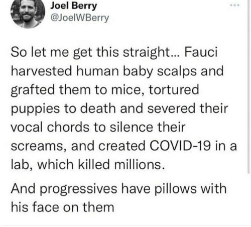 FauciPillow1