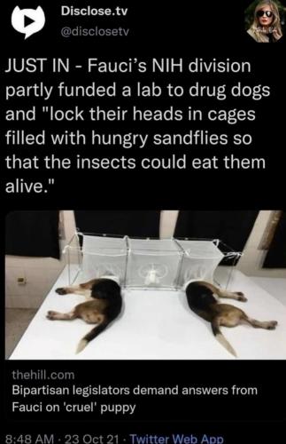 Tumblr_l_70242779393880