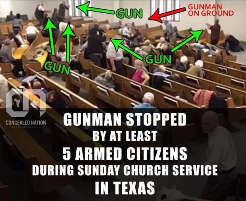 GunControl390