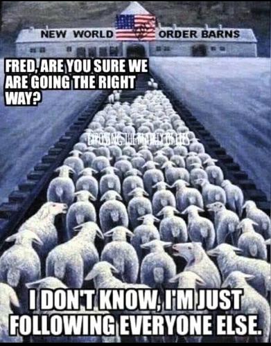 image_1635704520.841