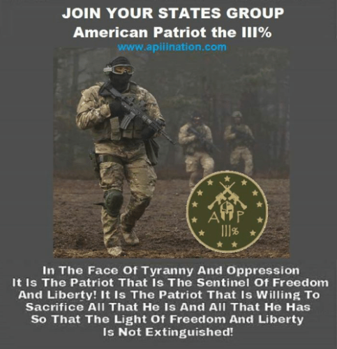 join-your-states-group-american-patriot-the-iii-www-apii-ination-com-5484232