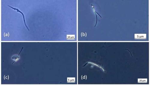 391caad7ae1d914c2da8ab30bf617479