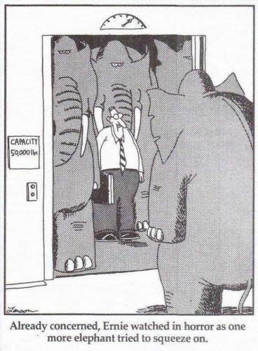 Elephant Elevator