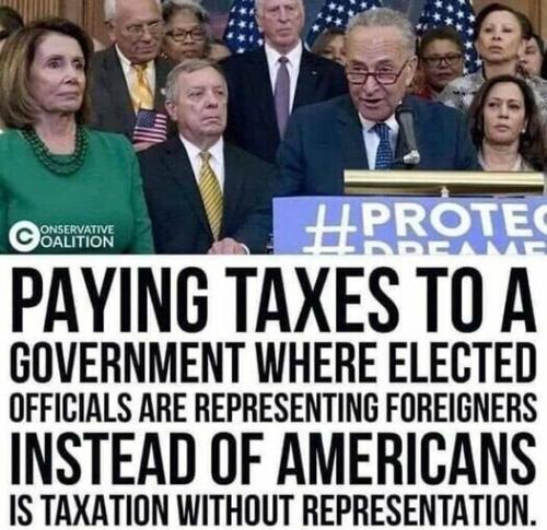 image_1635613952.645