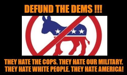 Defund The Democrats