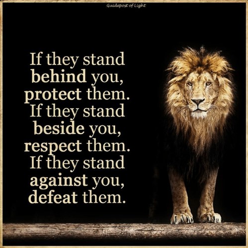 JUST STAND UP (3)