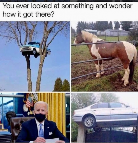 Screenshot_20210312-024031~2