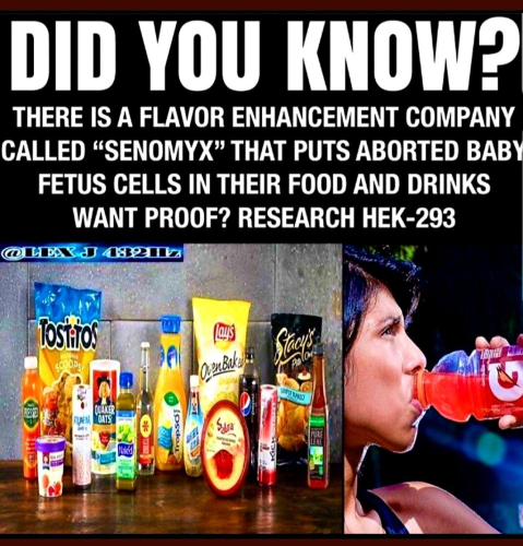 g32ySS7fhNd9jduwjUfT_08_fa0fe38fe13cb4b771a83b08fdc1c239_image_original